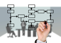 organization chart