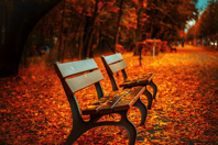 park