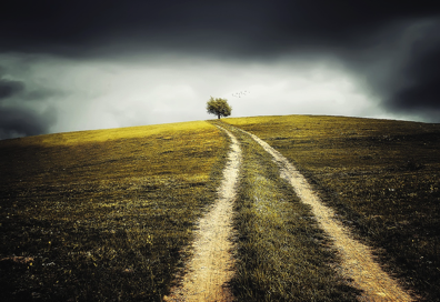 path