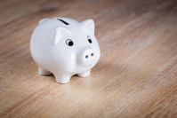 piggy bank