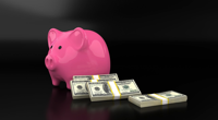 piggy bank