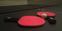ping pong table