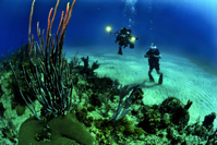 scuba