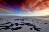 sea ice