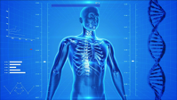 skeleton