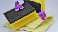 sponge