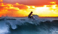 surfer