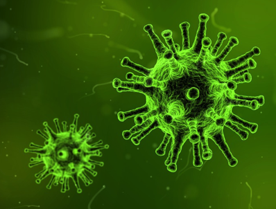 virus