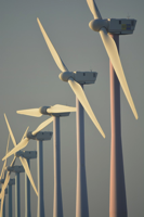 wind farm