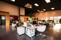 People Sitting on Chairs Beside their Desks in an office Free Stock Photo