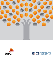 PwC CB Insights MoneyTree Report™