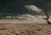 climate change