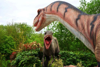 dinosaur