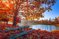 fall