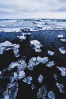 polar ice