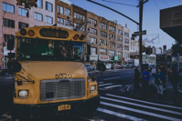 School Bus