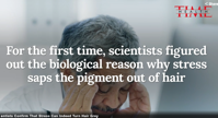 Scientists Confirm That Stress Can Indeed Turn Hair Grey Time