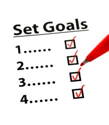 Set goal with check box 2022 09 16 02 37 17 utc