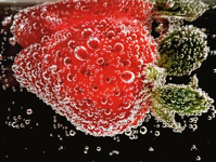 Shot on iPhone The Winners of Apple s Macro Photography Contest CNET
