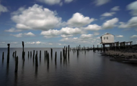 Surrendering to Rising Seas Scientific American