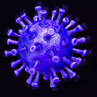 The best graphs and data for tracking the coronavirus pandemic The Verge