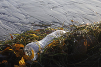 There s a Tiny Plastic Enemy Threatening the Planet s Oceans Time