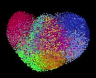 This is what filter bubbles actually look like MIT Technology Review