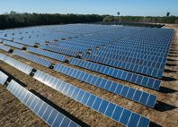 solar farm
