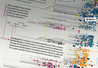 Virus Mutations Reveal How COVID 19 Really Spread Scientific American