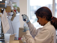 What causes cancer Food products that increase your cancer risk Business Insider