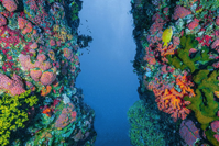 Why We Need to Focus on Saving the Oceans This Year Time