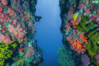 Why We Need to Focus on Saving the Oceans This Year Time